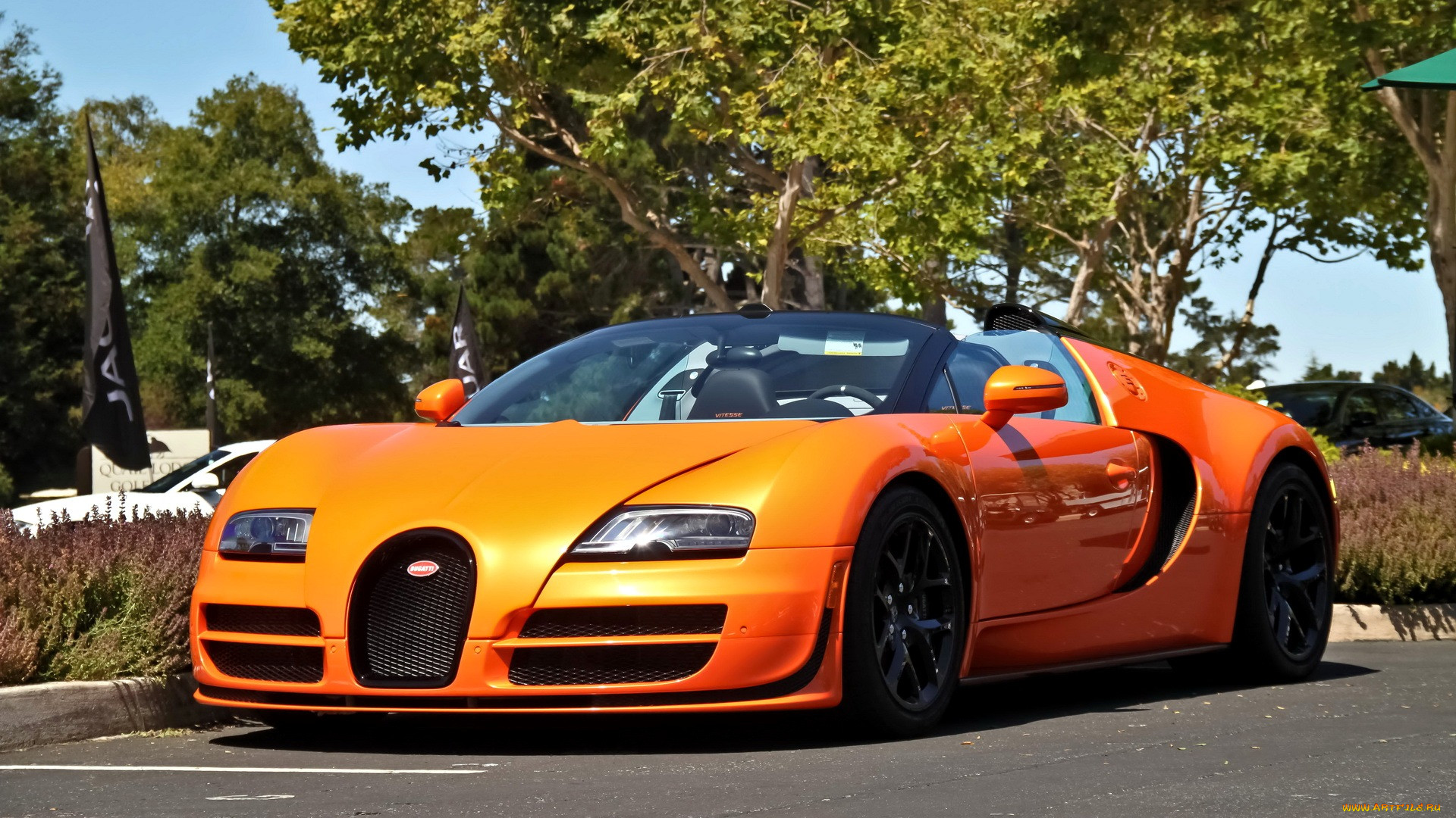 bugatti, veyron, 